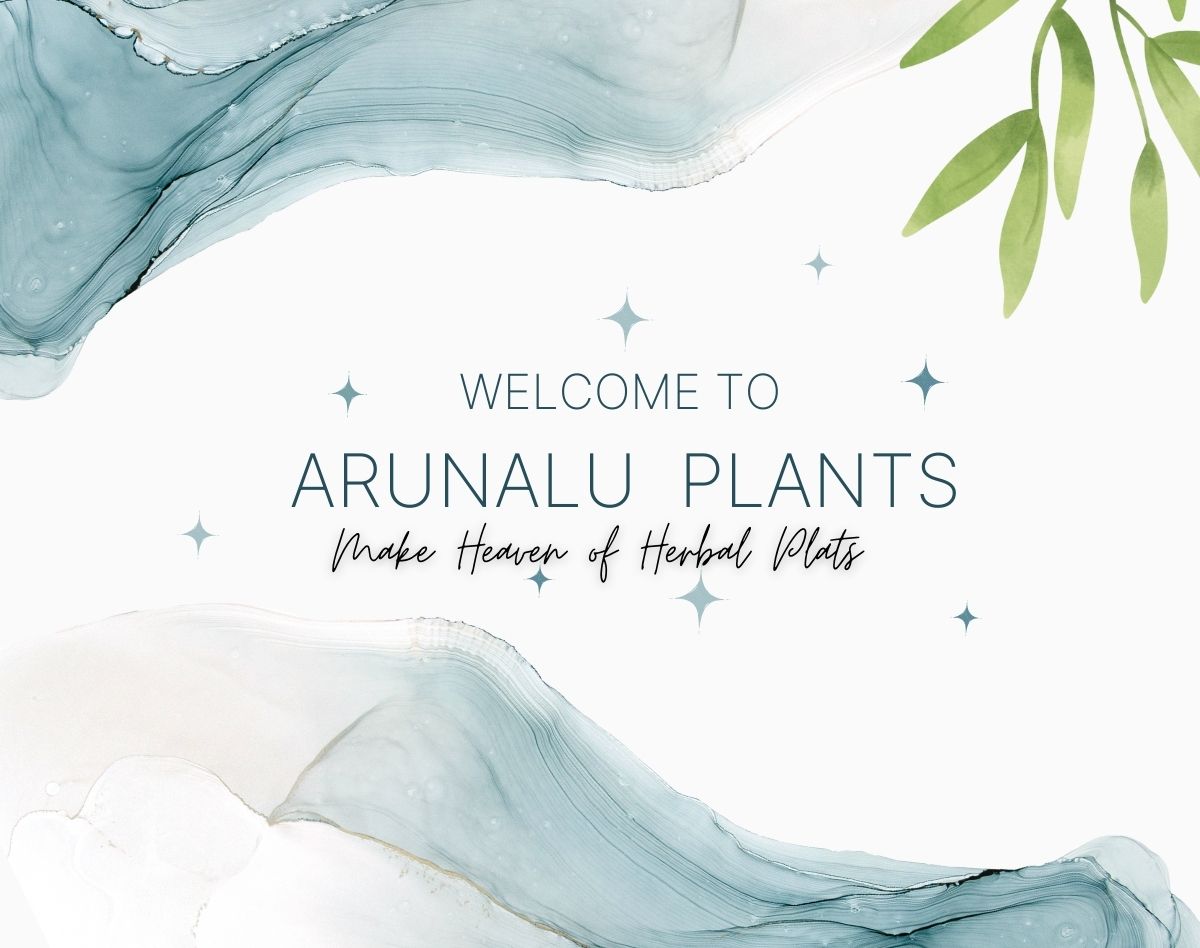 arunalu-plants-online-nursery.jpg