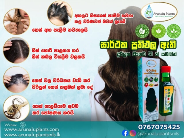 ayurvedic hair oil in sri lanka