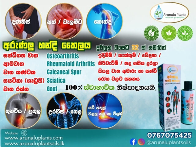 handi thailaya