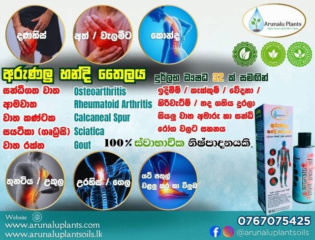handi thailaya