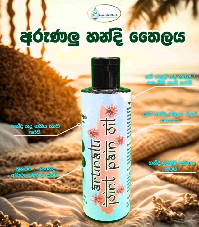 handi thela price